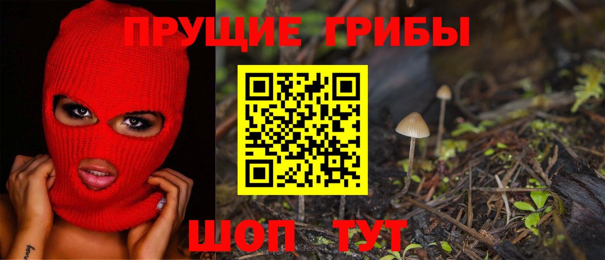 Псилоцибиновые грибы Psilocybine cubensis Тобольск